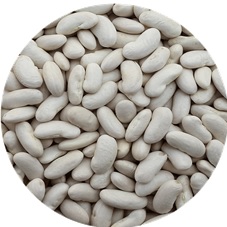 Beans (Horoz)