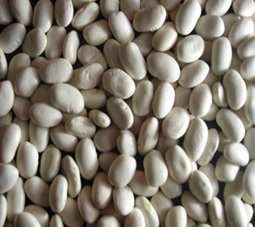 Beans (Sıra)